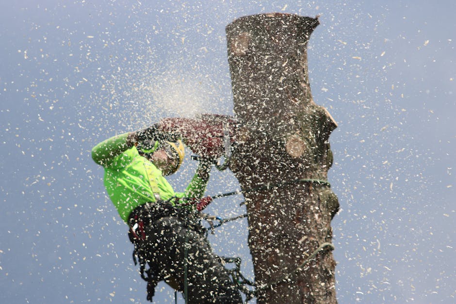 Arborist in safety harness and helmet using a chainsaw to cut a tree trunk, with sawdust flying