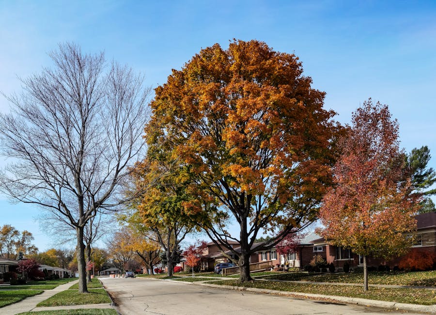 Mature shade trees lining a suburban residential street with intact sidewalks