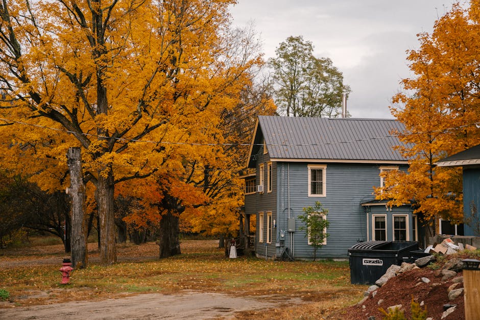 Deciduous tree with golden fall foliage in a residential yard