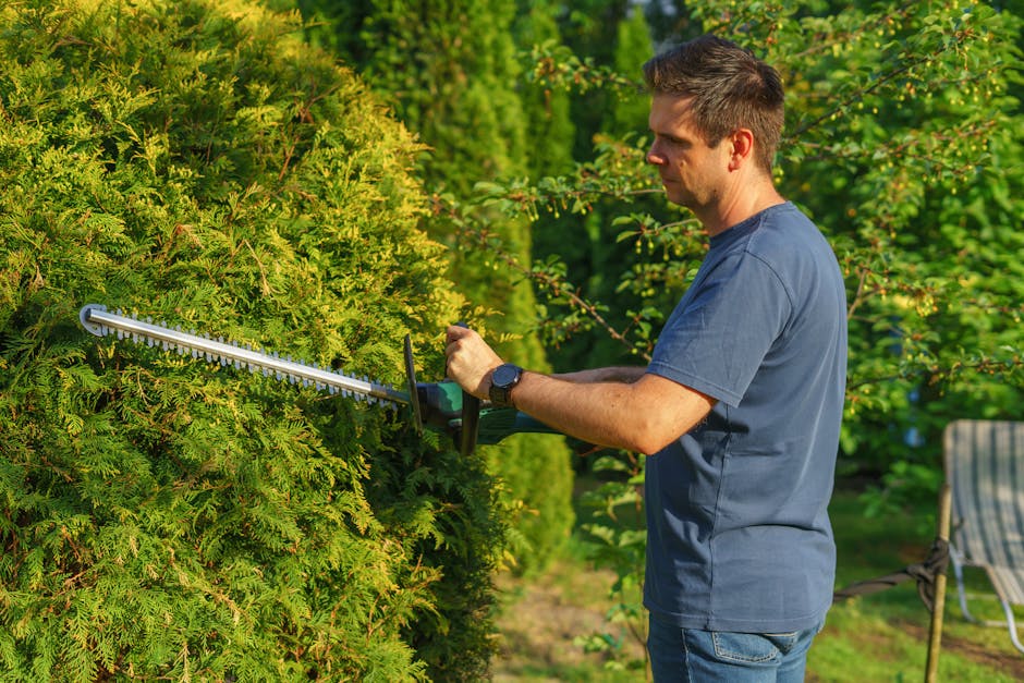 Person trimming a garden hedge with electric hedge trimmers maintaining clean lines