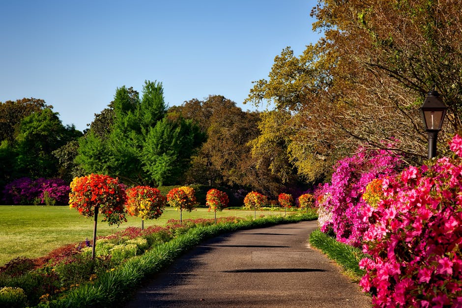 Landscaped garden pathway lined with mature trees and colorful plantings