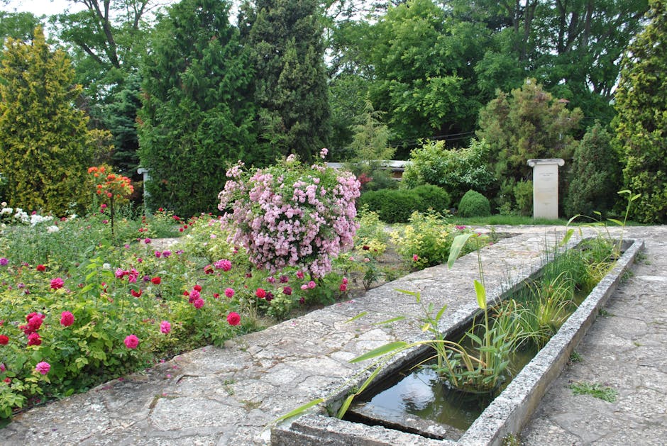 Lush summer garden with mature trees and blooming flowers