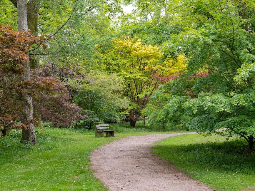 Shaded garden path winding through lush green plantings under trees