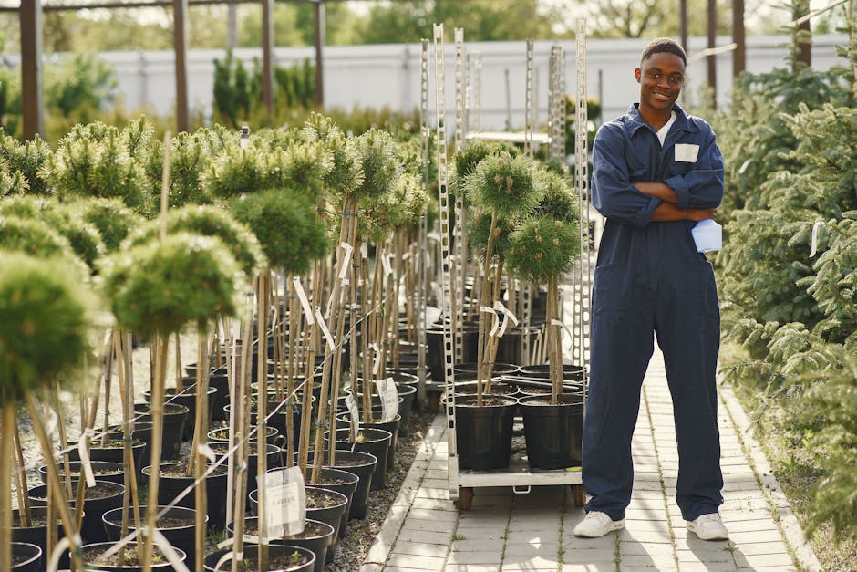 Gardener standing among rows of potted plants at a tree nursery