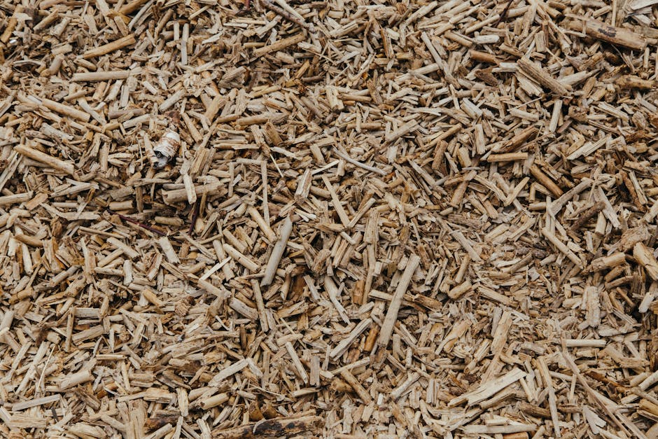 Close-up of natural brown wood chip mulch in warm sunlight