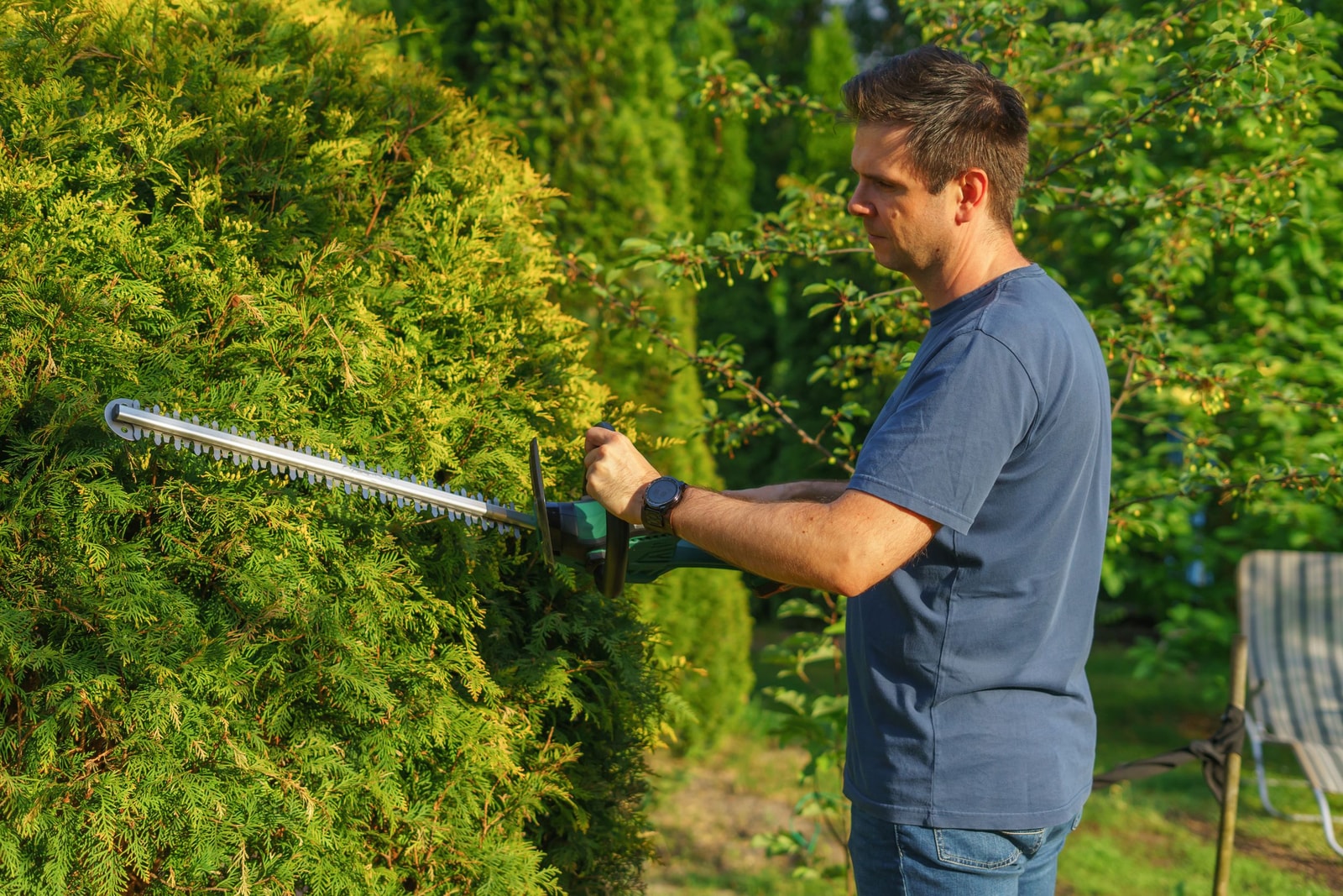Shaping a hedge with an electric trimmer