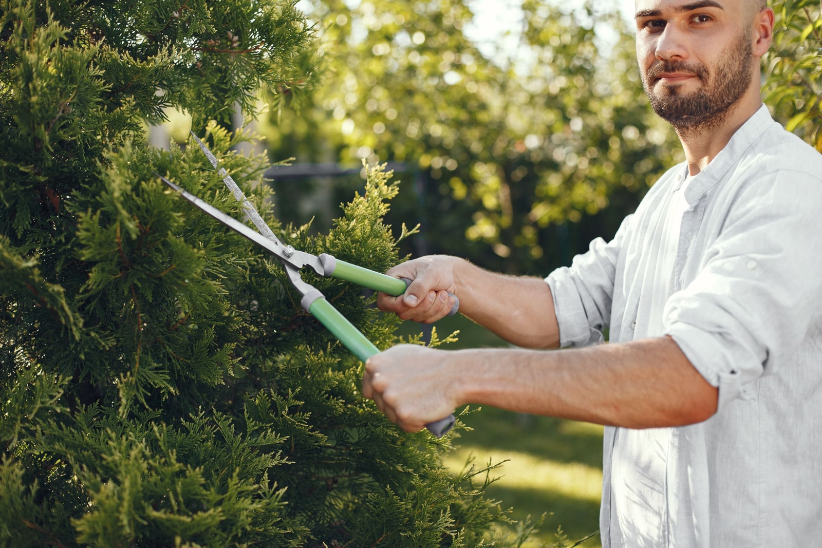 Pruning branches from the ground with a pole pruner