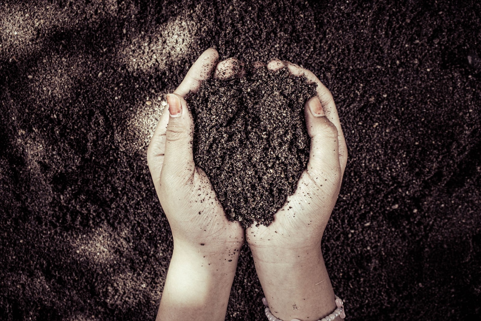 Testing garden soil by hand