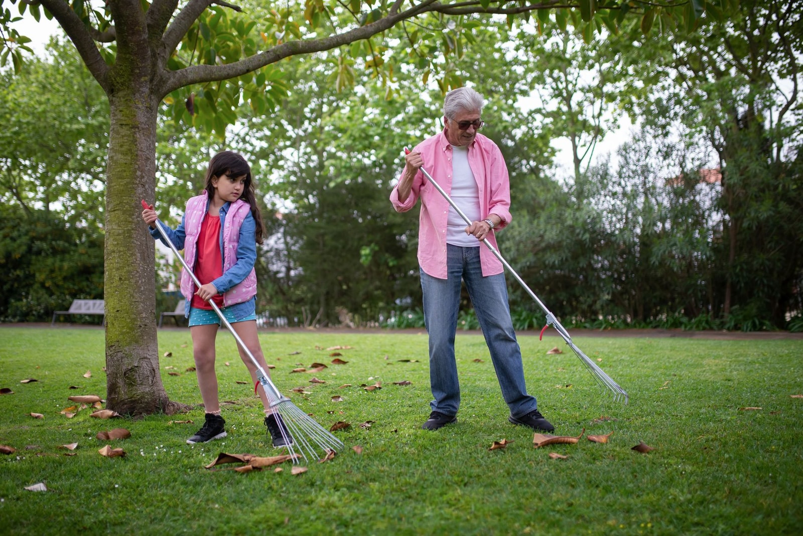 A man and child raking fallen leaves under a tree in a grassy yard