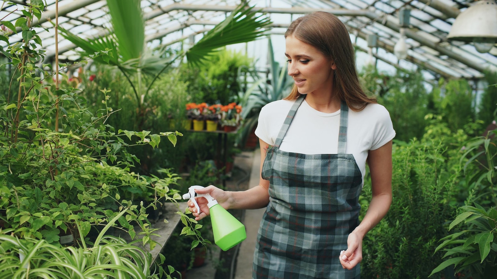 A handheld pump sprayer used in a garden