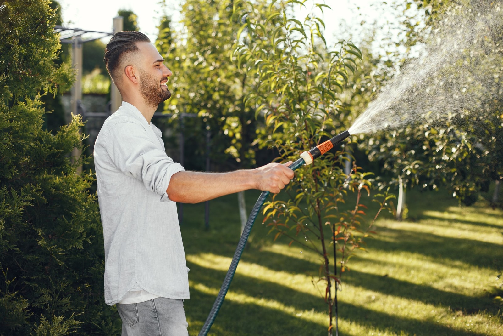 Watering the base of a tree with a garden hose