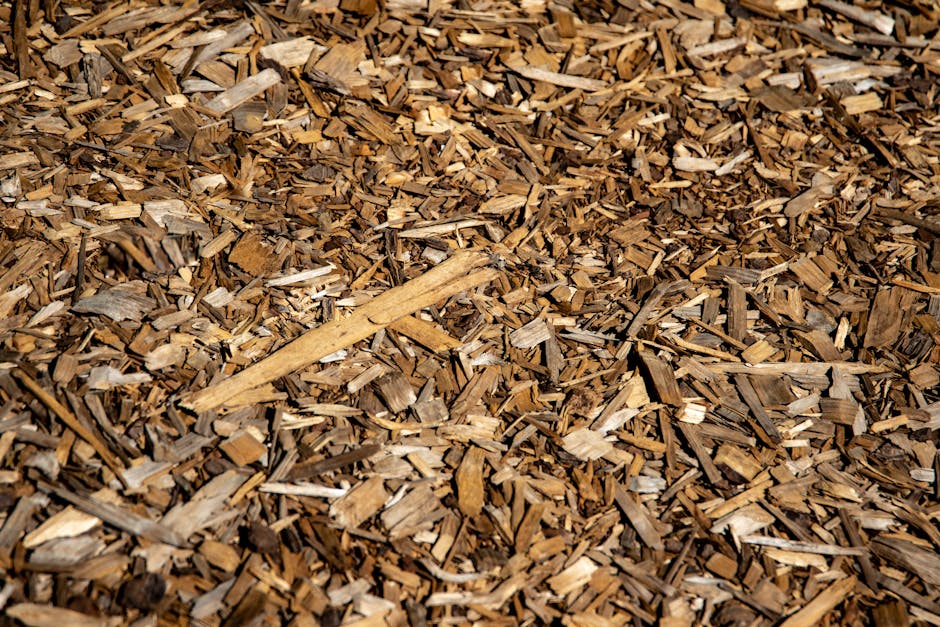 Wood chip mulch spread on the ground, the kind you want around your trees before a freeze