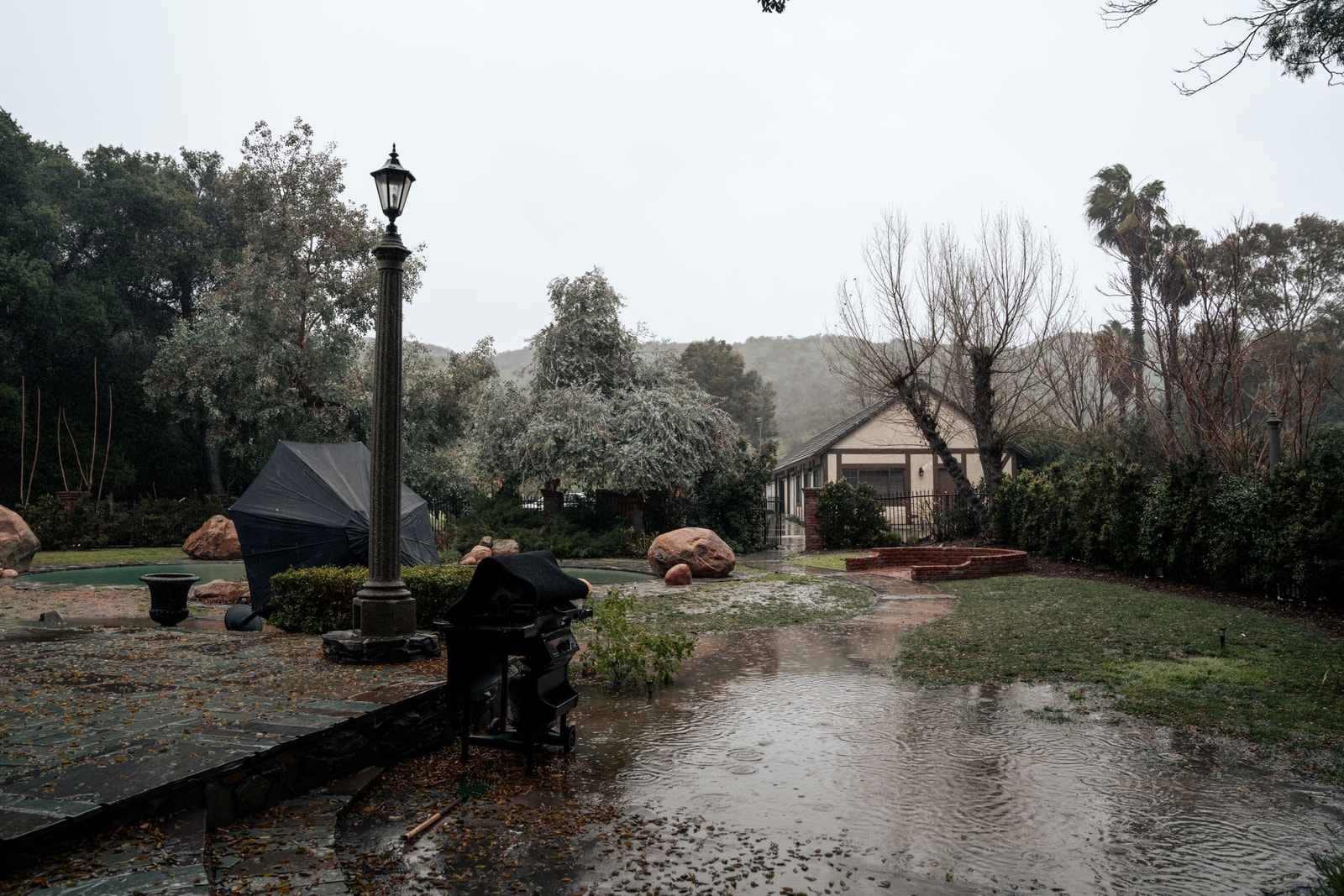 Standing water pooling around trees in a suburban backyard after heavy rain