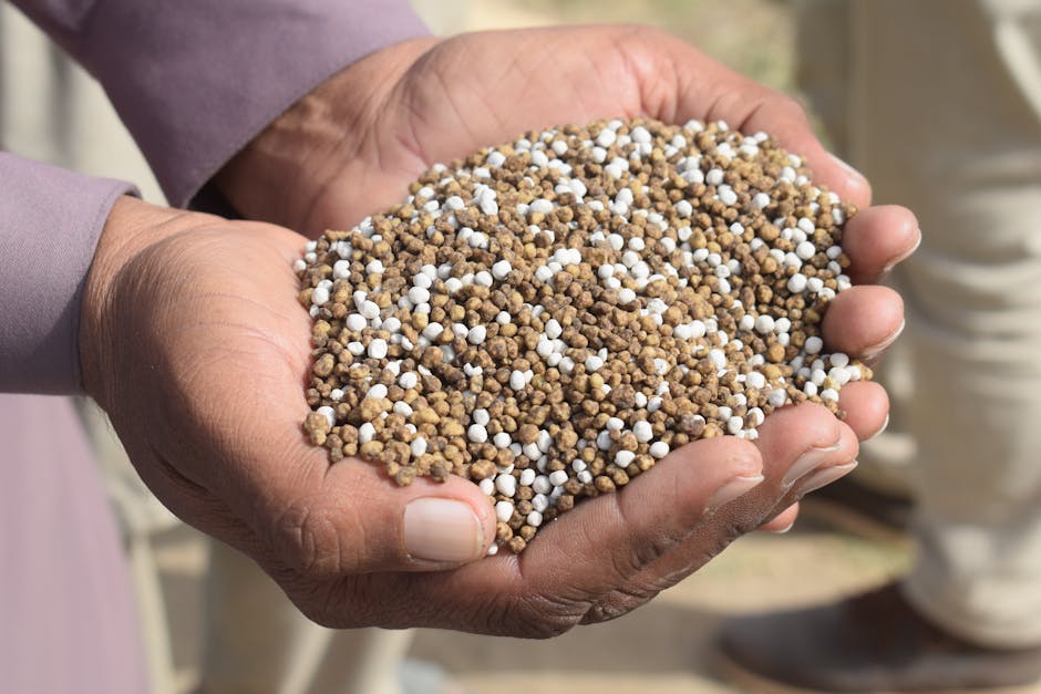Hands holding slow-release granular fertilizer ready to spread around a tree base
