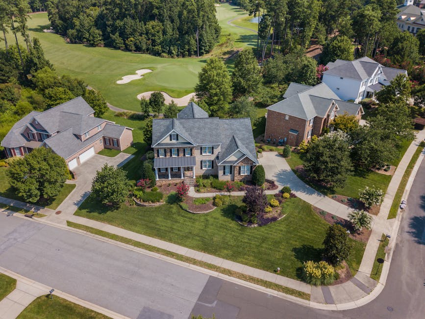 Aerial view of suburban homes surrounded by mature, healthy trees with full canopies
