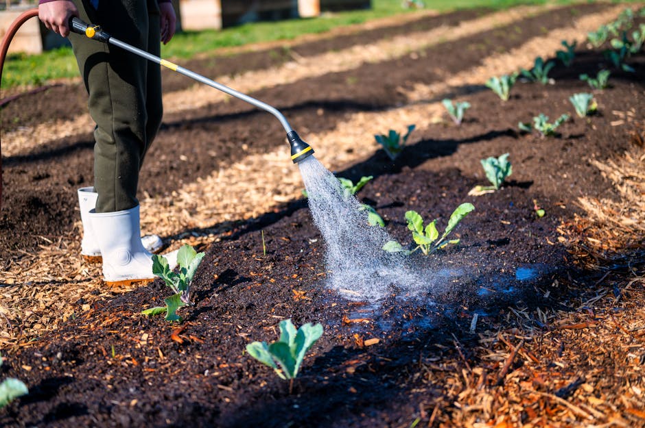Person using a garden hose to water plants in outdoor garden