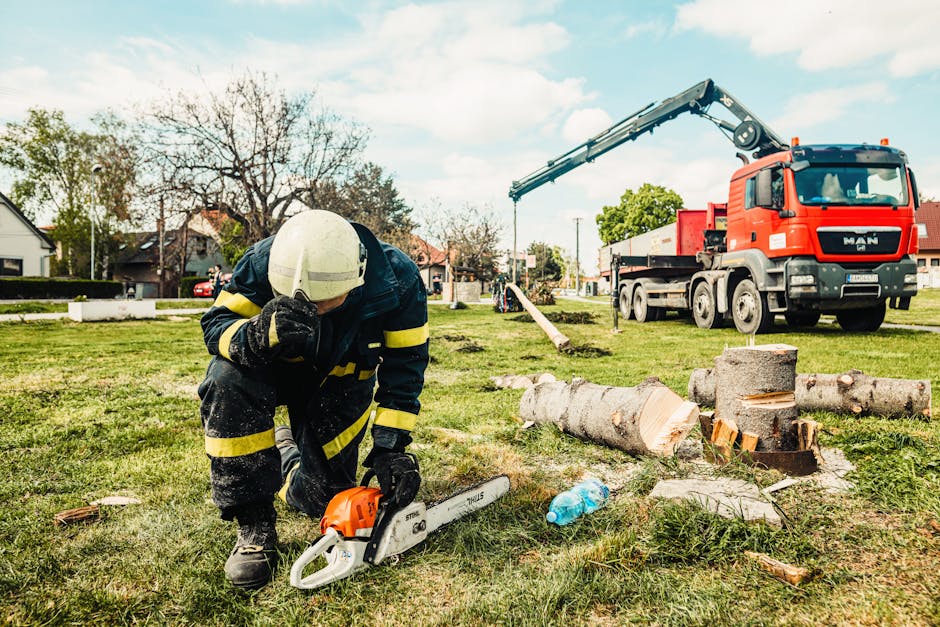 Arborist with safety gear and chainsaw beside work truck ready for a tree service job