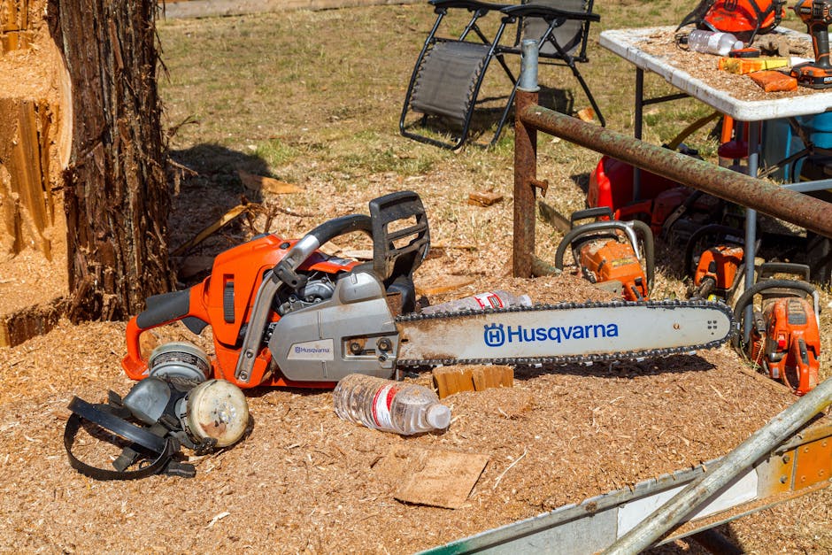 Chainsaw and ear protection equipment resting next to a freshly cut tree