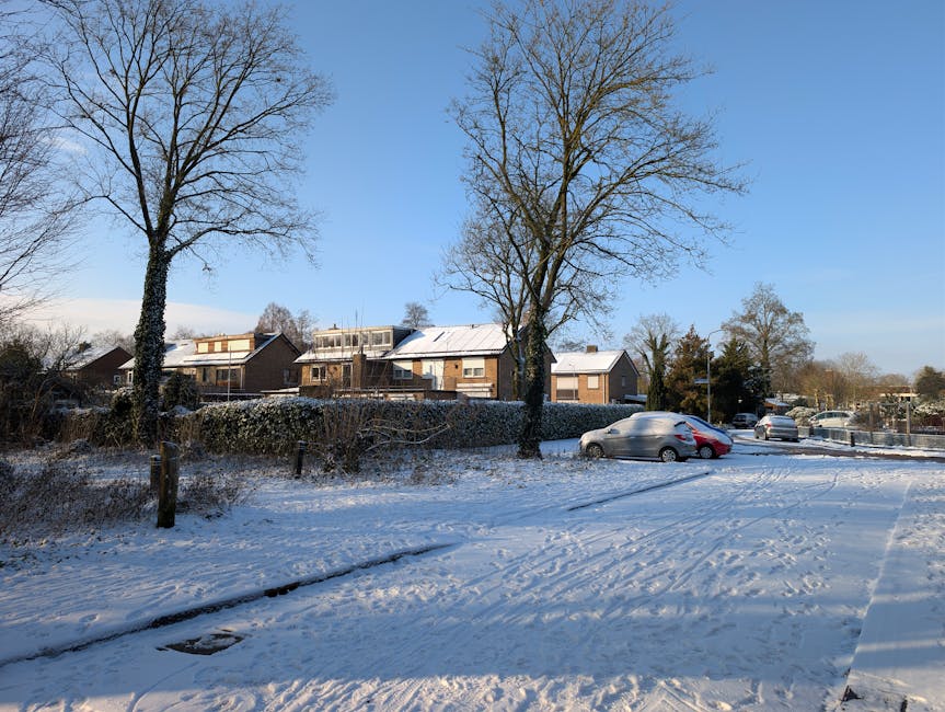 Trees covered with snow in a winter residential landscape