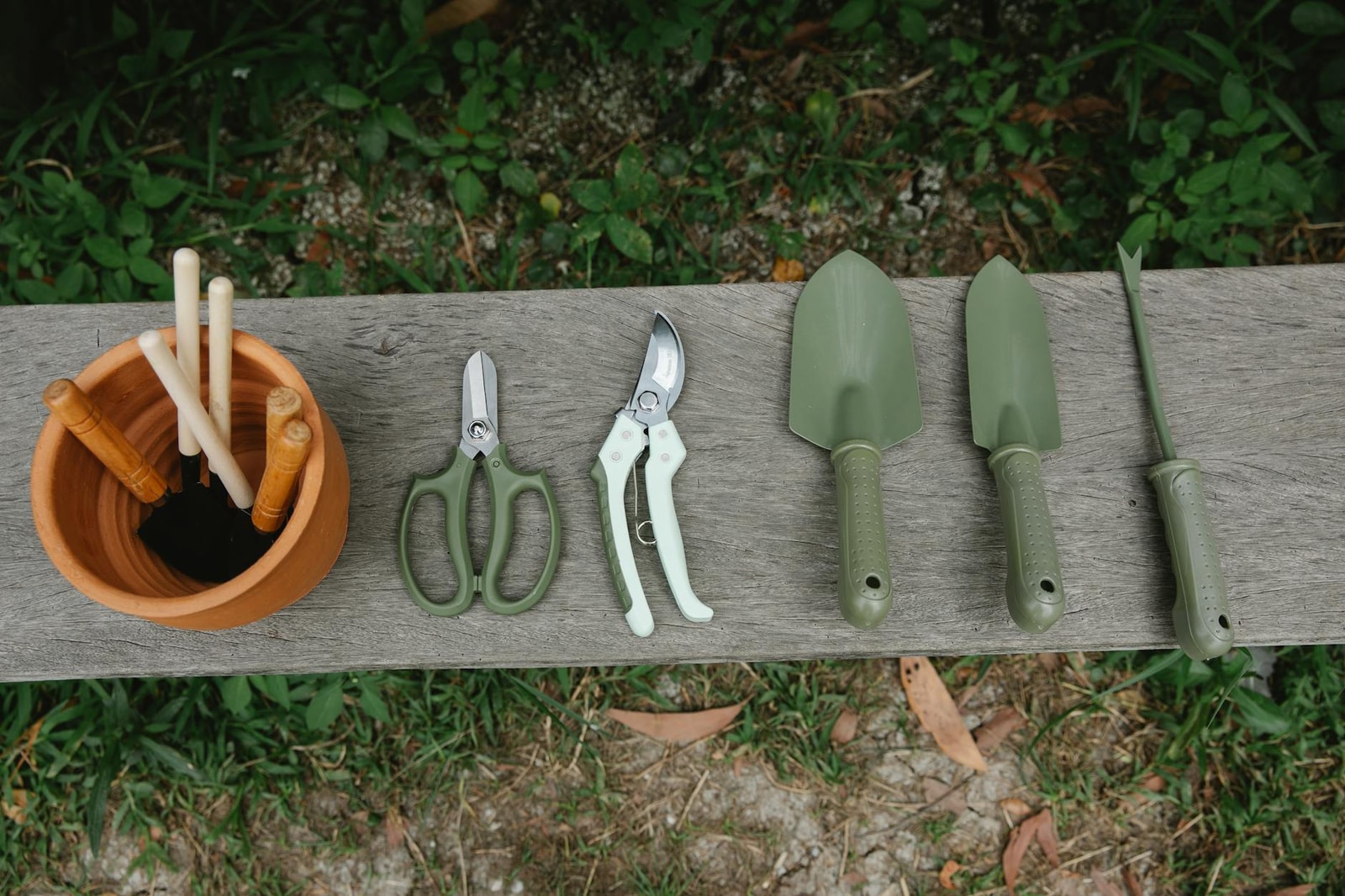 Gardening tools arranged on a wooden bench in a garden